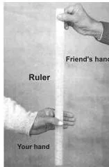 Motion in a Straight Line Class 11 Formulas A ruler dropping through the gap between a thumb and forefinger, the reaction-time experiment based on free fall