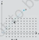Example 4.2 If the magnetic field is parallel to the positive y-axis and the charged particle is moving along the positive x-axis (Fig. 4.4), which way would the Lorentz force be for (a) an…