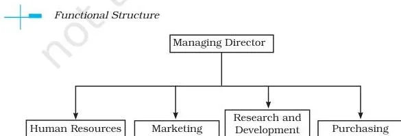 Organising Class 12 Business Studies Chapter 5 Functional structure diagram with jobs of similar nature grouped into separate departments under a coordinating head, each department divided into sections