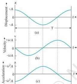 Oscillations Class 11 Formulas Displacement, velocity and acceleration of a particle in SHM as functions of time, showing sinusoidal variations with the same period T but different phases.