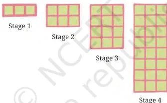 Predicting What Comes Next: Exploring Sequences and Progressions Class 9 Formulas Four stages of a square pattern where green blocks double at each stage, giving the geometric progression 3, 6, 12, 24