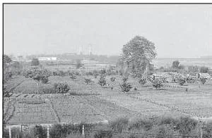 Vegetable plots cultivated close to a city, supplying fresh produce to nearby urban markets