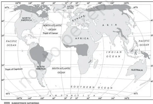 World map shading the high-latitude and low-latitude belts where subsistence gathering is practised, for the Primary Activities Class 12 chapter