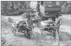 Vegetables being loaded into a truck and cycle carts for transport to city markets
