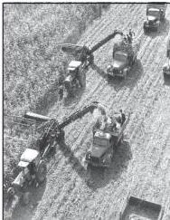 A combine harvester working a vast grain field, showing how mechanisation lets few workers cover many hectares