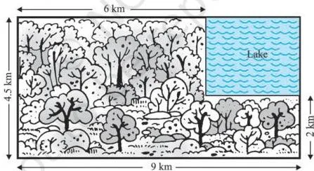Probability 14 Class 10: NCERT Chapter PDF Explained Rectangular region 4.5 km by 9 km containing a lake, used to find the probability that a crashed helicopter landed inside the lake