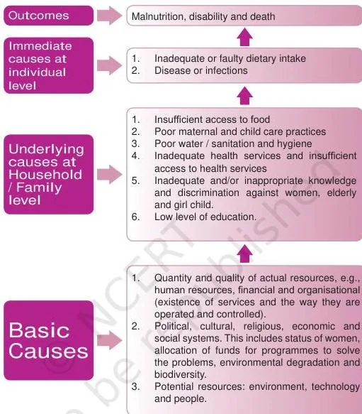 Public nutrition and health class 12: a web of interacting factors related to undernutrition, with poverty as the underlying cause at the centre