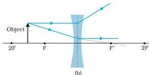 Tracing rays through (a) convex lens (b) concave lens.