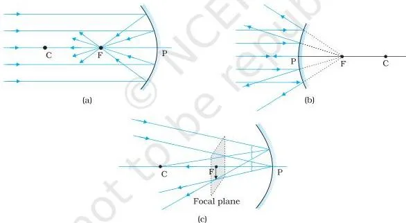 Concave and convex spherical mirrors with parallel rays converging at the principal focus of the concave mirror and appearing to diverge from the focus of the convex mirror