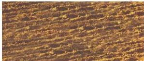 Resources and Development Class 10: NCERT Chapter 1 with PDF Photograph of alluvial soil, the sand, silt and clay soil that makes up the northern plains and coastal deltas of India