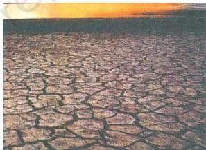 Resources and Development Class 10: NCERT Chapter 1 with PDF Photograph of black regur soil, the dark clayey soil of the Deccan region that holds moisture and suits cotton