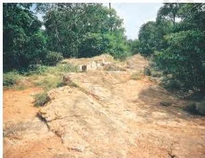 Resources and Development Class 10: NCERT Chapter 1 with PDF Photograph of laterite soil, the brick-like leached soil formed in tropical climates with alternate wet and dry seasons