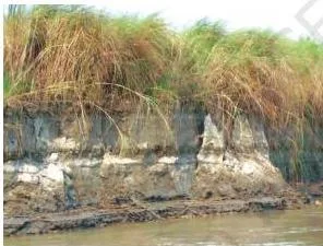 Resources and Development Class 10: NCERT Chapter 1 with PDF Photograph illustrating soil erosion, the denudation of the soil cover and its washing down by natural forces