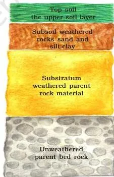 Resources and Development Class 10: NCERT Chapter 1 with PDF Vertical soil profile showing the soil as a layered section made up of organic humus and inorganic material