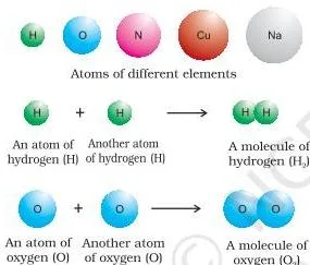 Some Basic Concepts of Chemistry Class 11 Notes Representation of atoms of an element and molecules of hydrogen, nitrogen and oxygen, each molecule formed by two atoms joined together