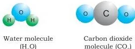 Some Basic Concepts of Chemistry Class 11 Notes Ball models of a water molecule with two hydrogen atoms and one oxygen atom, and a carbon dioxide molecule with one carbon and two oxygen atoms