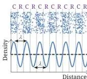 Sound Waves Class 9 Science Notes: Production, Speed & Echo Two sound wave graphs showing a long wavelength with widely separated crests and a short wavelength with closely packed crests