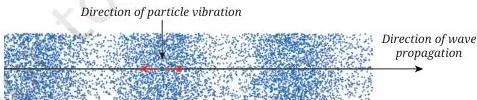 Sound Waves Class 9 Science Notes: Production, Speed & Echo Particles of the medium vibrating back and forth parallel to the direction the wave travels, the signature of a longitudinal wave
