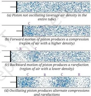 Sound Waves Class 9 Science Notes: Production, Speed & Echo Alternating compressions and rarefactions travelling along a medium, the disturbance moving while particles stay in place