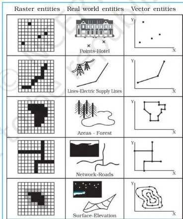 Spatial Information Technology Class 12 NCERT Chapter 4 PDF The same map features drawn twice, once as blocky raster cells and once as crisp vector lines, comparing the two data formats