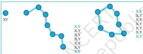 Spatial Information Technology Class 12 NCERT Chapter 4 PDF A diagonal line built from coordinate pairs, X and Y distances from the edges of the paper, showing how the vector data model stores a line