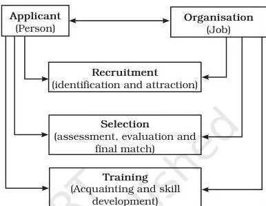 Staffing Class 12: NCERT Business Studies Chapter 6 PDF Staffing Class 12 recruitment figure: recruitment attracts potential employees with the necessary qualification in adequate numbers for the jobs available