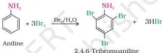 Amines Class 12 Notes: From Structure to Diazonium Salts Reaction of aniline with bromine water forming 2,4,6-tribromoaniline, demonstrating the strong ortho and para activation of the ring by the amino group