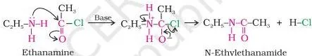 Aliphatic and aromatic primary and secondary amines react with acid chlorides, anhydrides and esters by nucleophilic substitution reaction.