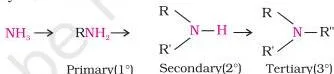 Amines Class 12 Notes: From Structure to Diazonium Salts Scheme showing ammonia converting to primary, secondary and tertiary amines as one, two or three hydrogen atoms are replaced by alkyl or aryl groups