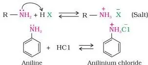 Amines, being basic in nature, react with acids to form salts.