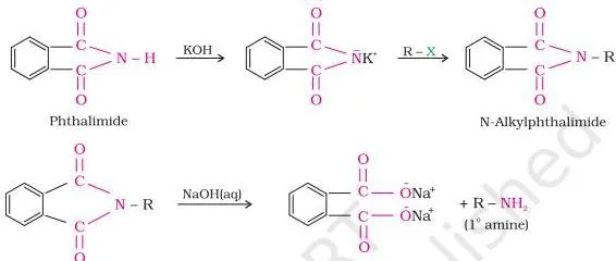 Amines Class 12 Notes: From Structure to Diazonium Salts Reaction scheme of Gabriel phthalimide synthesis from phthalimide through its potassium salt and N-alkylphthalimide to the primary amine