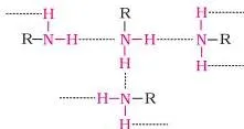 Amines Class 12 Notes: From Structure to Diazonium Salts Two primary amine molecules joined by an N-H to N intermolecular hydrogen bond, the association that makes primary amines boil highest among isomeric amines