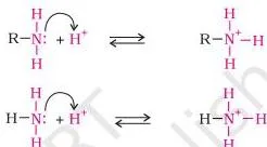 Let us consider the reaction of an alkanamine and ammonia with a proton to compare their basicity.