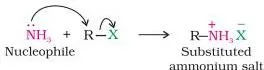You have read (Unit 6, Class XII) that the carbon - halogen bond in alkyl or benzyl halides can be easily cleaved by a nucleophile.