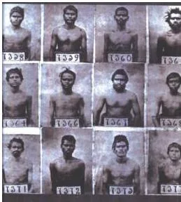 Indentured labourers photographed in rows for identification, showing how employers saw them as numbers, not names
