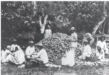 Most indentured workers stayed on after their contracts ended, or returned to their new homes after a short spell in India.