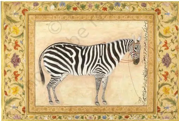 The Mughal School of Miniature Painting 3: Class 12 Fine Art NCERT Chapter 3 A zebra drawn by Ustad Mansur in 1621, later mounted in Shah Jahan's royal album with ornate borders