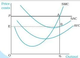 The Theory of the Firm under Perfect Competition Class 12 Price line below the long run average cost curve, showing total cost exceeding total revenue and the firm earning a loss in the long run