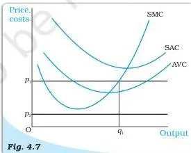 The Theory of the Firm under Perfect Competition Class 12 Suppose the market price is $p_2$, which is less than the minimum AVC.
