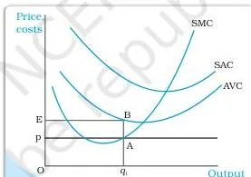 The Theory of the Firm under Perfect Competition Class 12 Price line cutting the marginal cost curve at two points, at a falling and a rising segment, used to show only the rising intersection is profit maximising