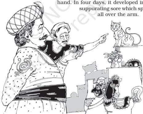 The Tiger King Class 12: Vistas Chapter 2 PDF Illustration of the infection flaring in the Maharaja's right hand the day after a sliver from the wooden toy tiger pierced it, marking the turn from triumph to death