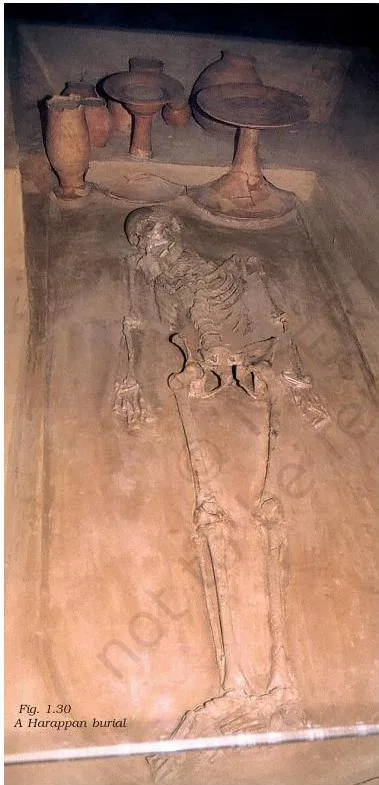 A Harappan burial showing the body laid in a pit with pottery and ornaments placed beside it, the figure Exercise 5 asks students to describe