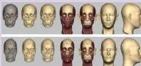 Harappan skeletal remains from Rakhigarhi, the skeleton from which DNA was extracted; the study showed unbroken genetic continuity for about 5000 years