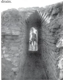 Notice the huge opening of the drain.