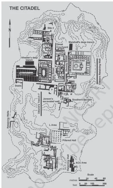 Plan of the citadel at Mohenjodaro showing the warehouse and the Great Bath, the special public structures that mark out the citadel from the Lower Town