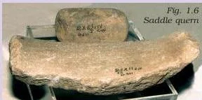 A rough stone saddle quern with a convex base, used for grinding cereals in Harappan houses and central to the chapter's method of identifying artefacts by analogy