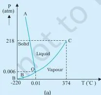 Thermal Properties of Matter Class 11 Notes Pressure-temperature phase diagram of water and carbon dioxide, with fusion, vaporisation and sublimation curves meeting at the triple point