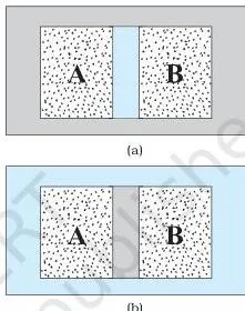 Thermodynamics Class 11 Physics Notes: Laws and Formulas Two containers of gas separated first by an insulating adiabatic wall and then by a conducting diathermic wall, showing when thermal equilibrium is reached