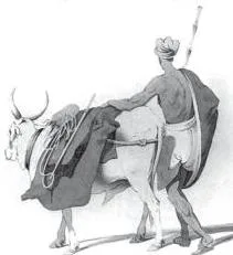 Through the Eyes of Travellers Class 12: NCERT Chapter 1 PDF A nineteenth-century drawing of rural Indian life that reinforced the notion of an unchanging rural society in Europe