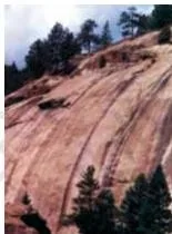 Contour sketch of a convex slope which is fairly gentle in its upper part with widely spaced contours and steep in its lower part with closely spaced contours